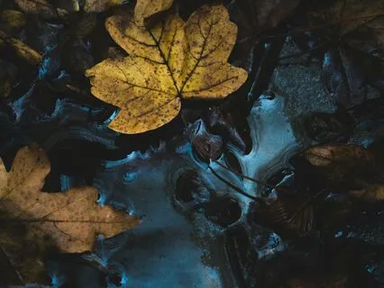 Rainy Evening At The Cotswolds Stone Inn: Sleepy Tale