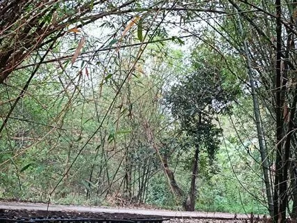 Rainy Evening Flute Meditation Music For Perfect Peace