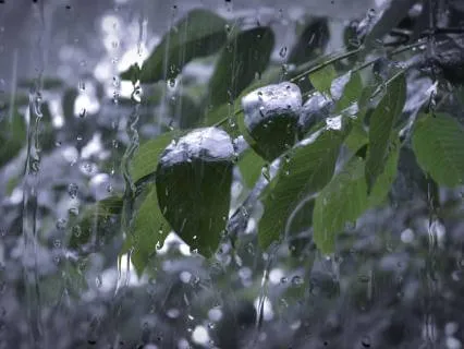 Rainy Evening Sleep Ritual