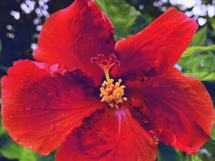 Rainy Friday Afternoon