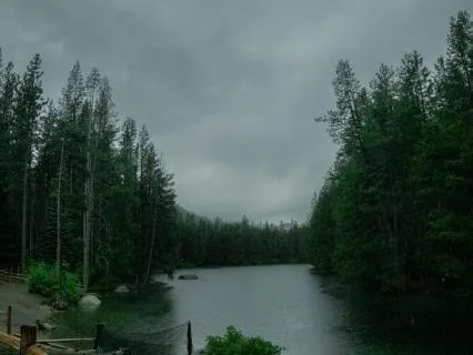 Rainy Lake Cabin Sanctuary: The Sleepy Journals