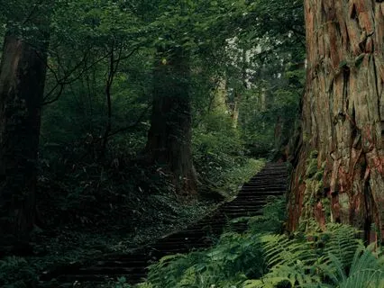 Rainy Night At Cedarwood Cabin: A Bedtime Escape