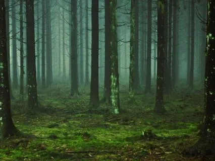 Rainy Night Gong Bath Extended Sleep Edit