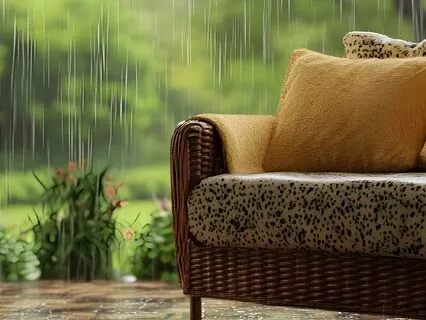 Rainy Ritual In The Conservatory