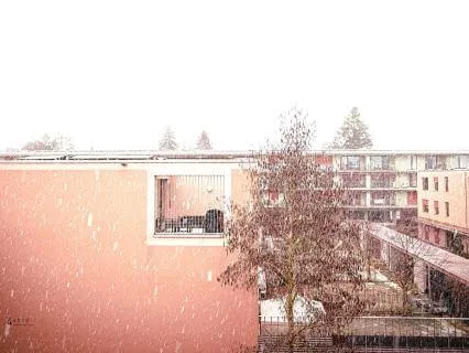 Rainy Rooftop & Urban White Noise