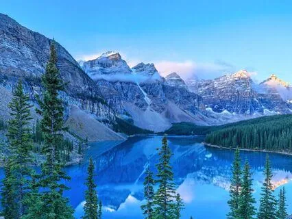 Raise World Peace! 111, 174, 528 Hz Tuning Forks (Gamma)