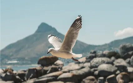 Raise Your Energy Vibration