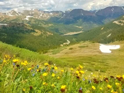 Raise Your Frequency|Flute|432hz