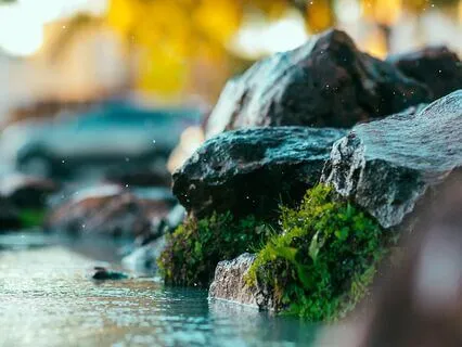 Raise Your Frequency, Release The Past And Attract Abundance