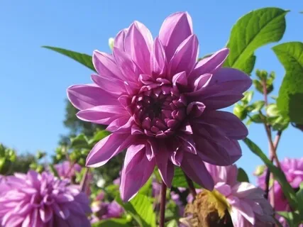 Raise Your Vibration