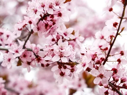 Raise Your Vibration