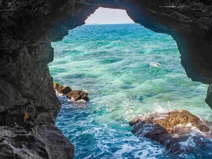 Raise Your Vibration! 432 + 528 Tuning Fork (7.83 Hz, Gamma)