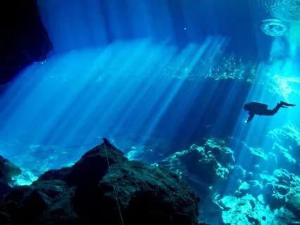 Raise Your Vibration! 432 Hz + 528 Hz Tuning Fork (Gamma)