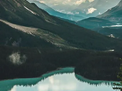 Raise Your Vibration - 432 Hz Meditation