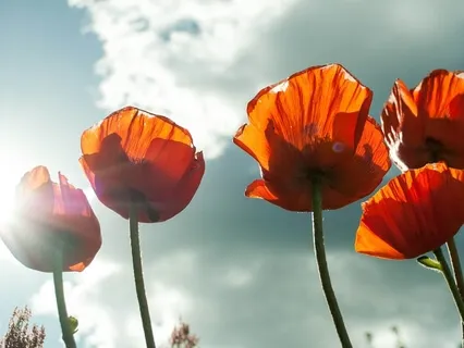 Raise Your Vibration