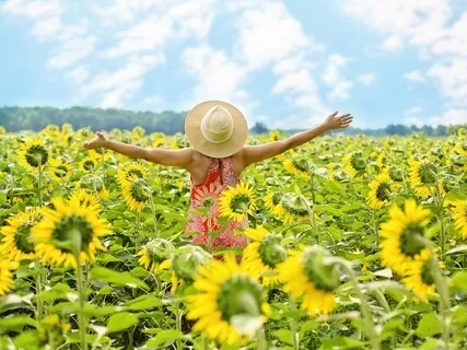 Raise Your Vibration Guided Meditation