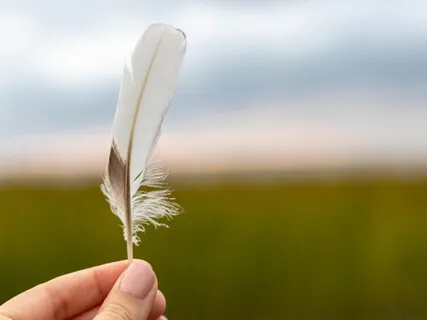 Raise Your Vibration