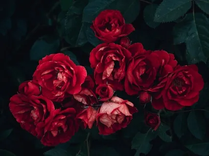 Raise Your Vibration Sleep Meditation With Affirmations