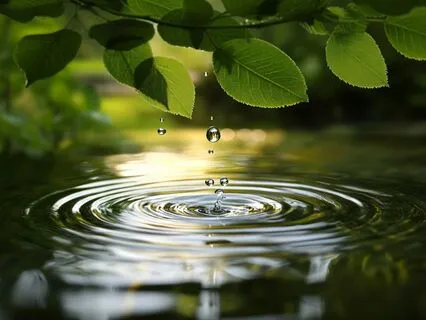 Raise Your Vibration Subliminal Sleep Affirmations