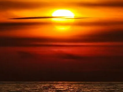 Raise Your Vibration To A Frequency Of Love