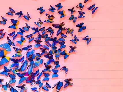 Raise Your Vibration