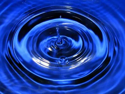 Raise Your Vibrational Frequency