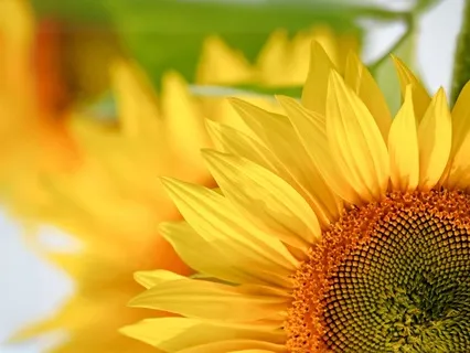 Raise Your Vibrations In 5 Minutes