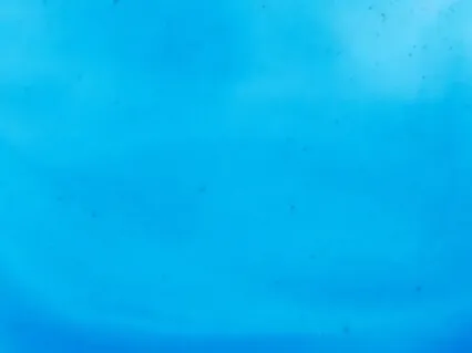 Transform Fear Into Love