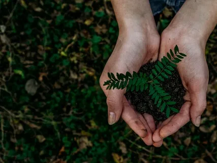 Raising Spiritual Children - Weekly Energy Boost