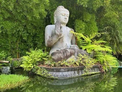 Raising The Frequency