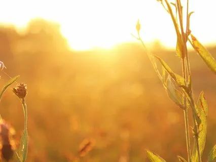 Raising Vibrations For Replenishment