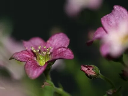 Raising Your Frequency With Gratitude