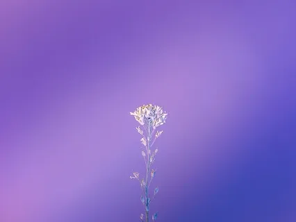 Raising Your Vibrations