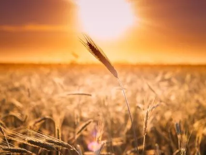 Ramadan Reflection Day 10 Politeness