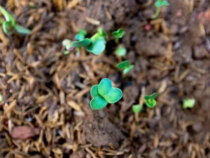 Randi Green: Self, Choices, Insignificance & Heartfelt Care