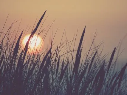 Rapid Confidence Affirmation Meditation