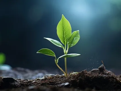 Rapid Recovery From Illness Meditation