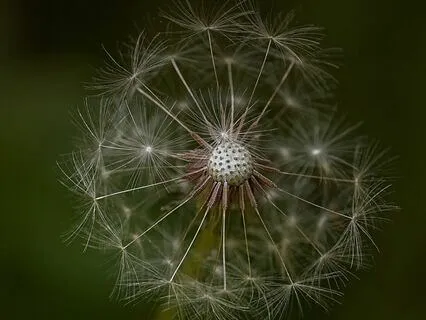 Rapid Relaxation Yoga Nidra