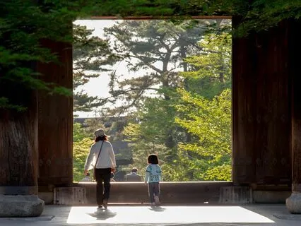 Rapid Stress Relief | Brainwave Entrainment Therapy | 8D