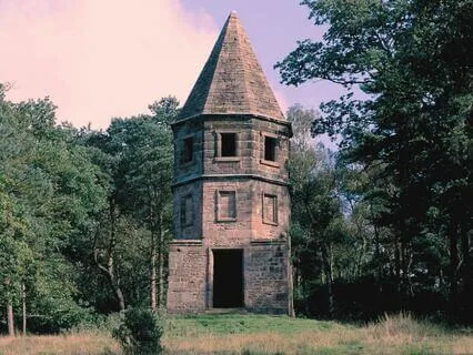 Bedtime Story | Rapunzel