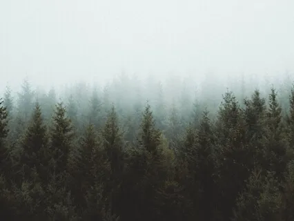 Раскрытие Cердца и Благодарность