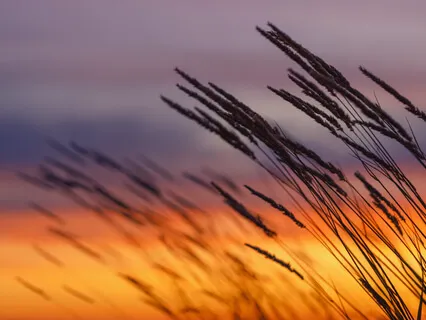 Расслабление сидя