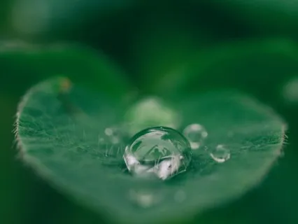 Расслабленная Собранность и Расширенное Внимание