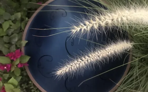 Rav-Vast Drum (Souls In Chain)