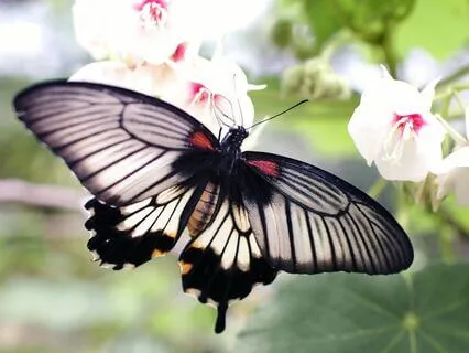 Raw, Vulnerable, Hope - A Guide To Feeling Deeply