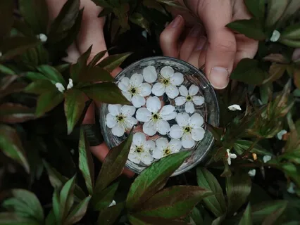 Разворот Навстречу Настоящему