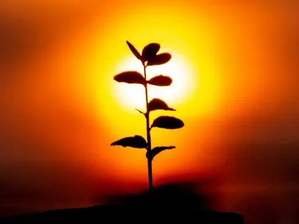 Re-birthing Experience