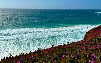 Re-Center Yourself With A Gentle Pause 