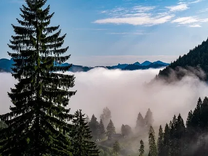 Re-Centering Mindfulness Practice