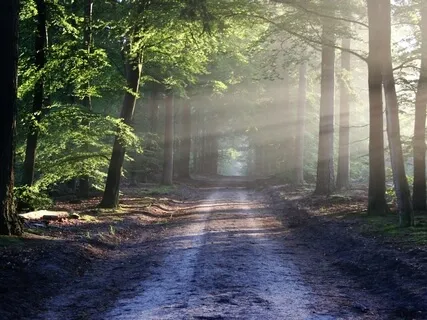 Re-Discover Your Creative Heart